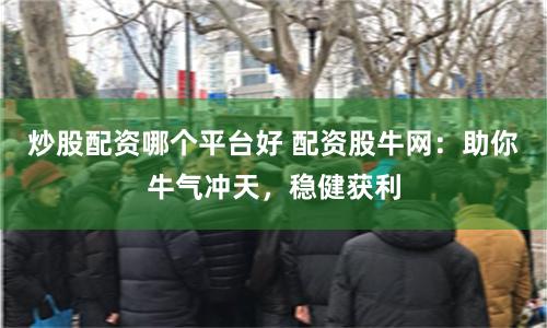 炒股配资哪个平台好 配资股牛网：助你牛气冲天，稳健获利